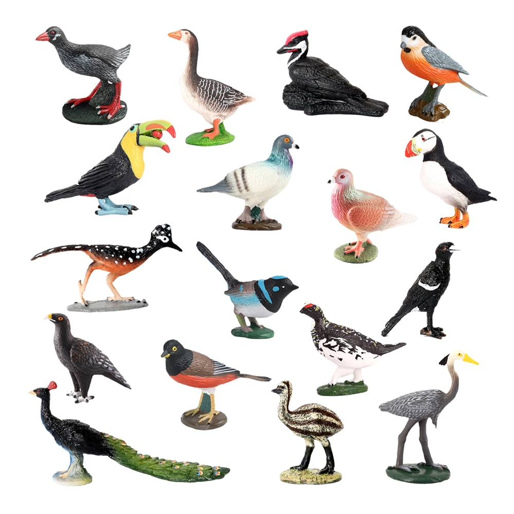 Owl Flamingo Turkey Toucan Sea - Kids Toys Under 1 Year recension och pris