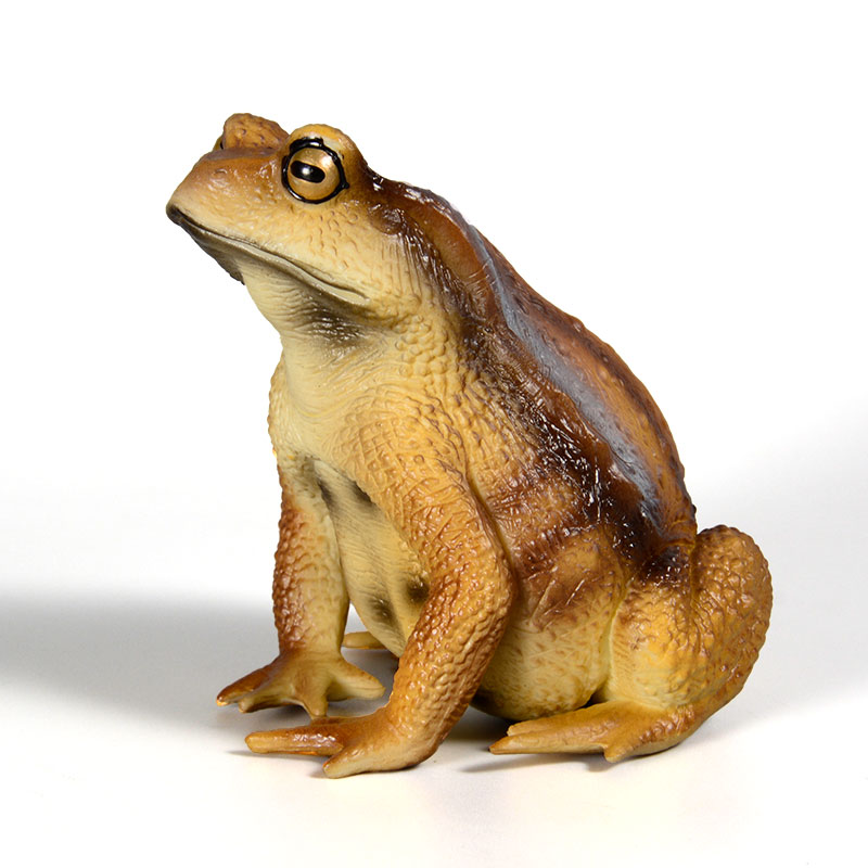 Amphibian Frog Figure Insect M - Kids Toys Packaging recension och pris