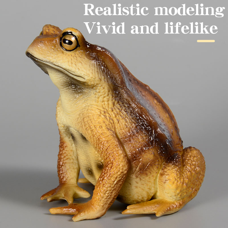 Amphibian Frog Figure Insect M - Kids Toys Packaging recension och pris