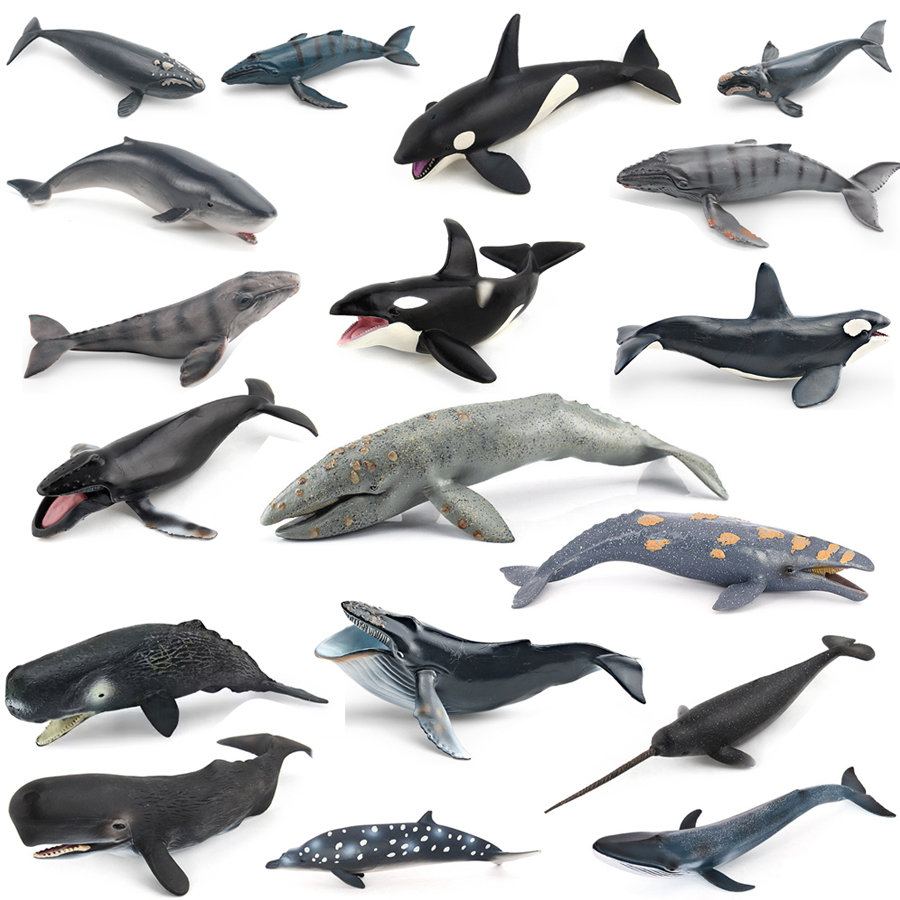 Realistic Humpback Whale Sperm - Kids Toys Under 1 Year recension och pris