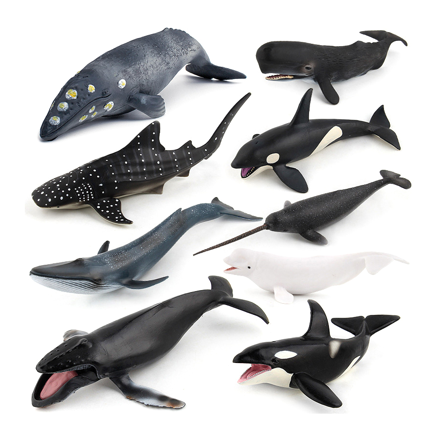 Realistic Humpback Whale Sperm - Kids Toys Under 1 Year recension och pris