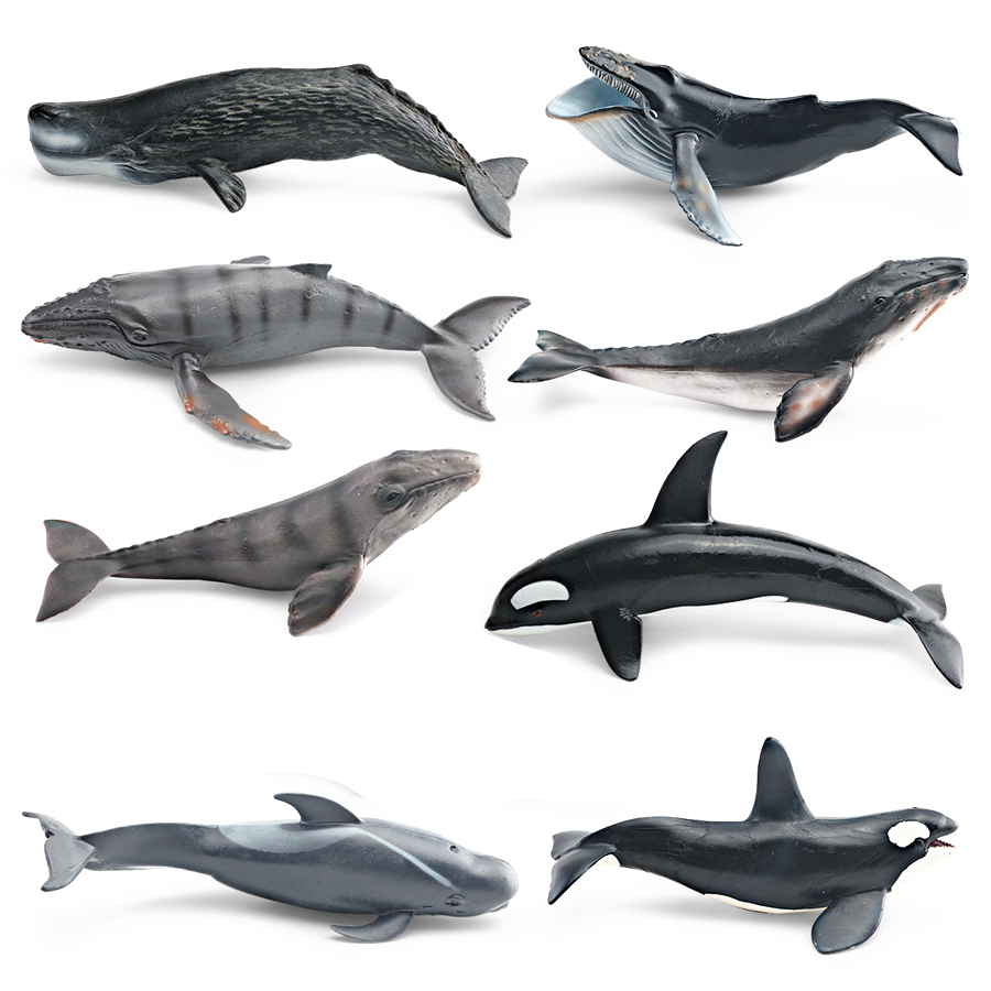 Realistic Humpback Whale Sperm - Kids Toys Under 1 Year recension och pris