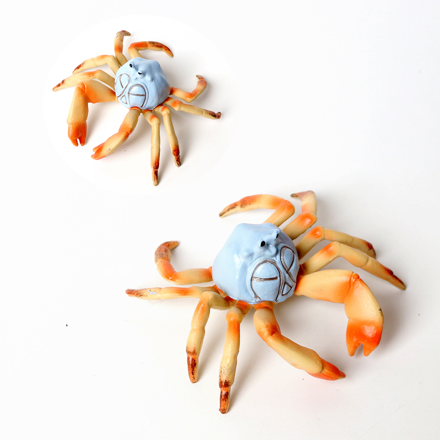 Realistic Ocean Animals Hermit - Kids Toys Under 1 Year recension och pris