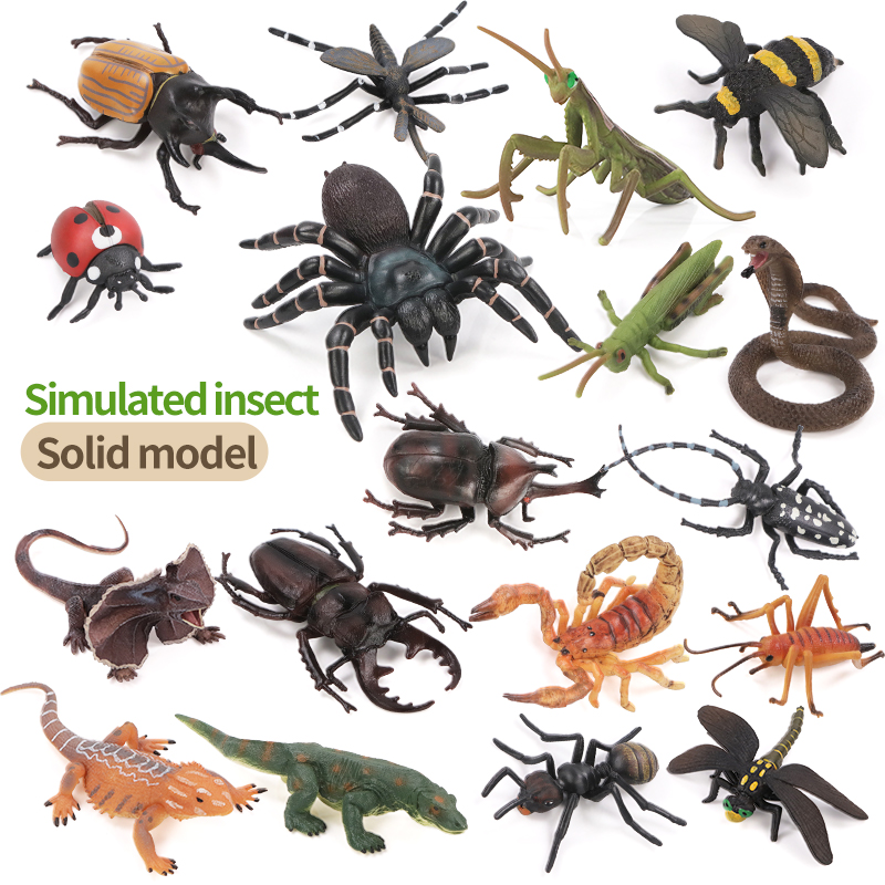 Educational Simulation Insect  - Kids Toys Packaging recension och pris