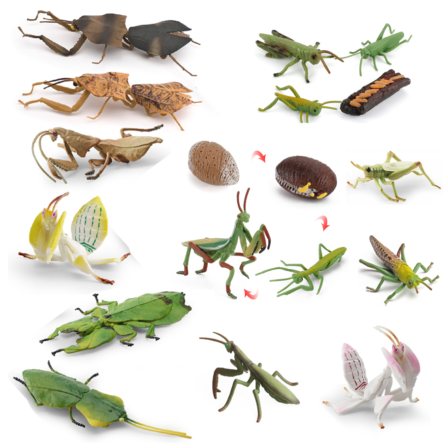 Realistic Orchid Mantis Dead L - Kids Toys Under 1 Year recension och pris