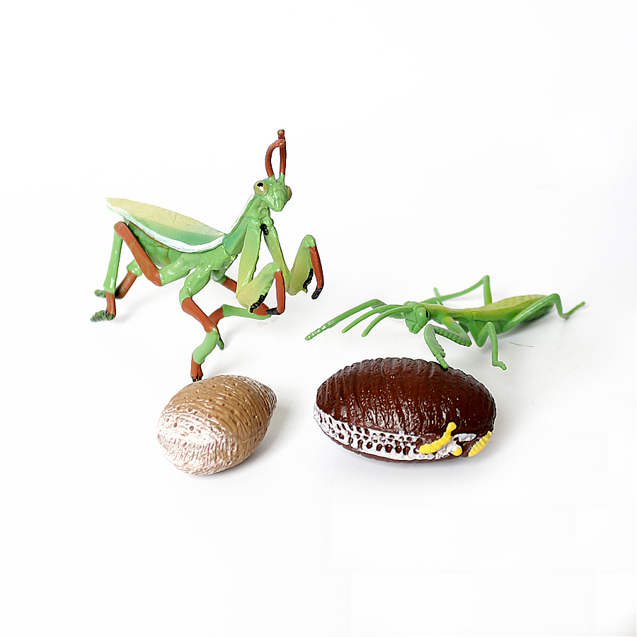 Realistic Orchid Mantis Dead L - Kids Toys Under 1 Year recension och pris